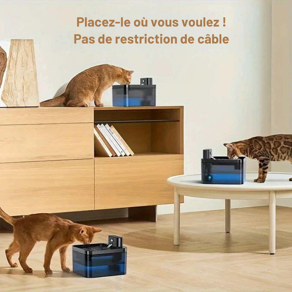 Fontaine Connectée 2.2L à Détection pour Chat & petit Chien