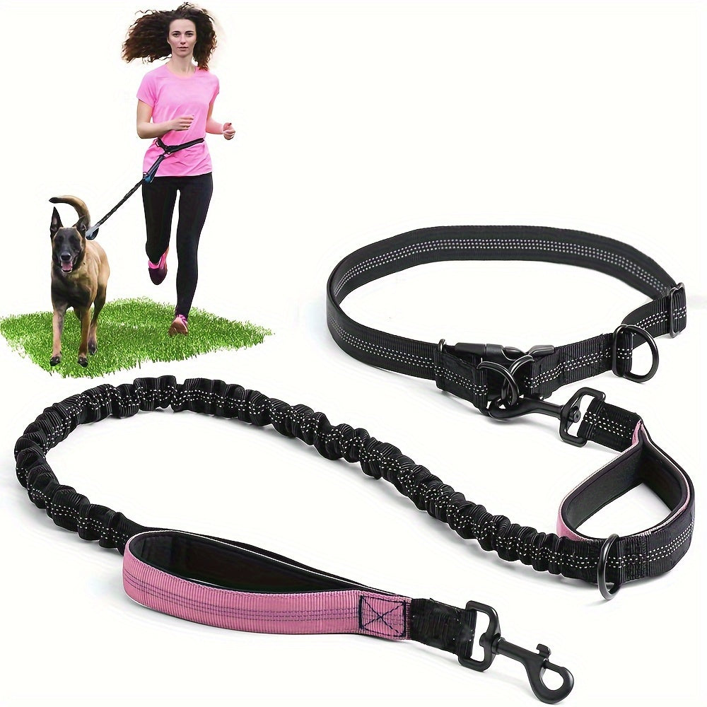 Laisse Elastique Mains Libres pour Chien