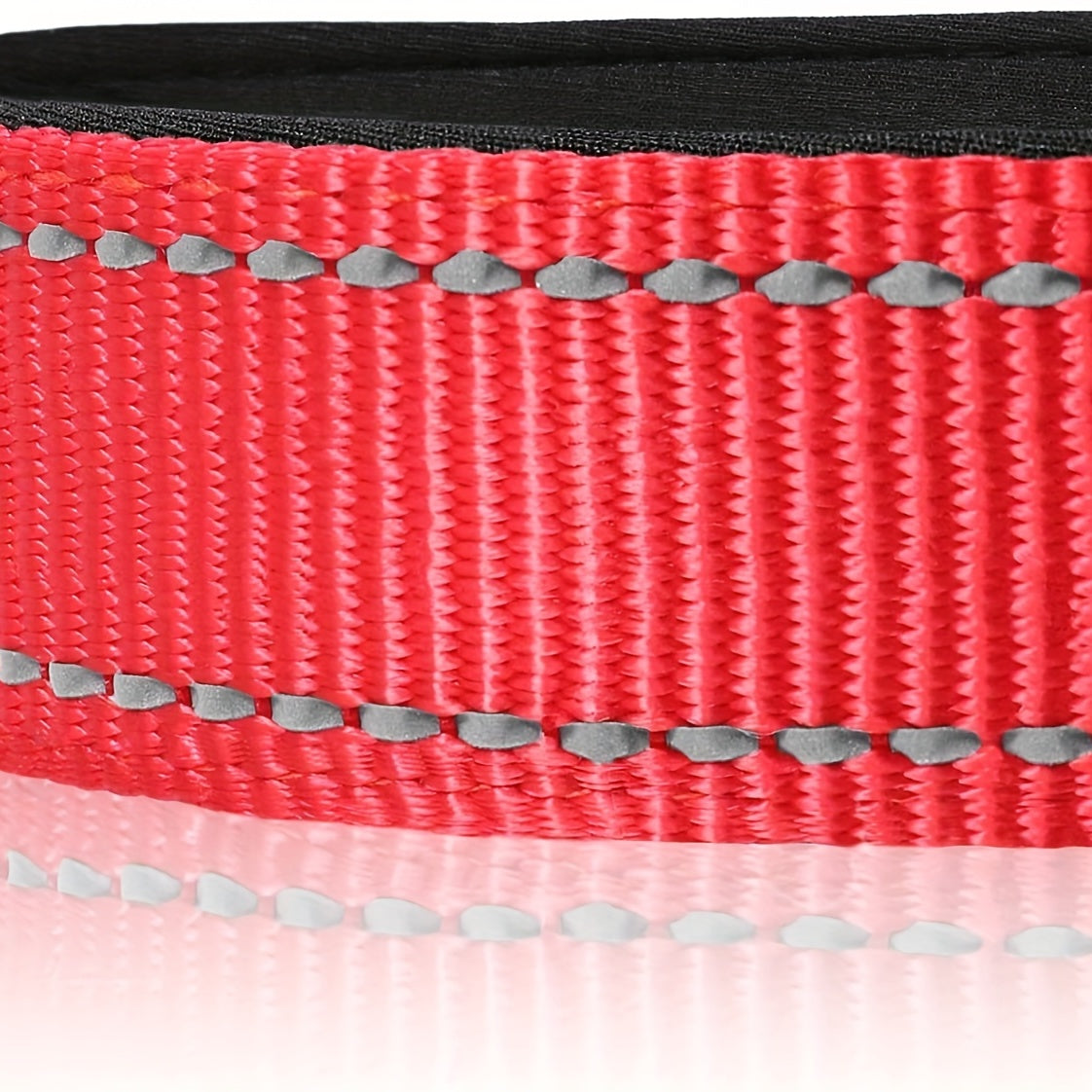 Collier Réfléchissant pour Chien – réglable et résistant
