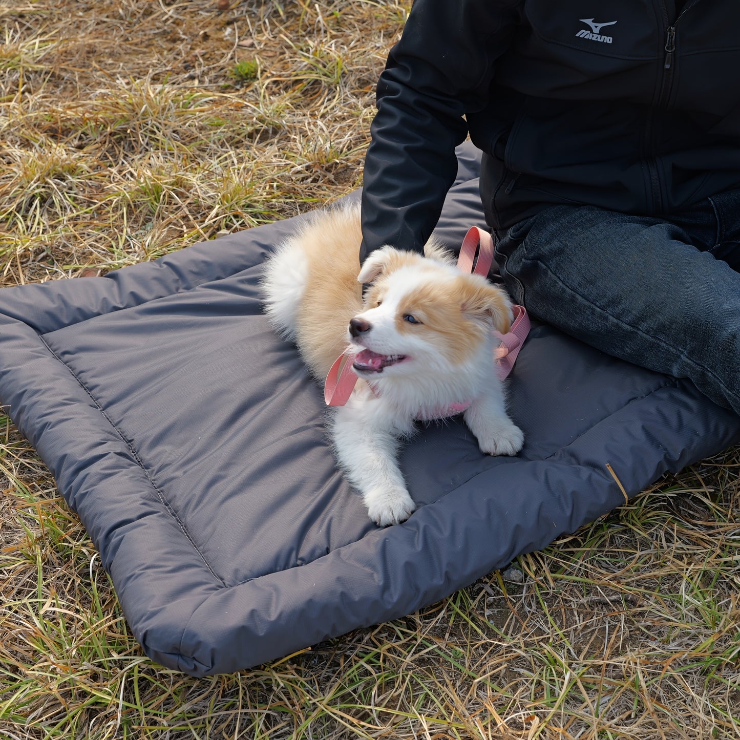 Coussin Extérieur Pliable pour Chien – Antidérapant et Lavable