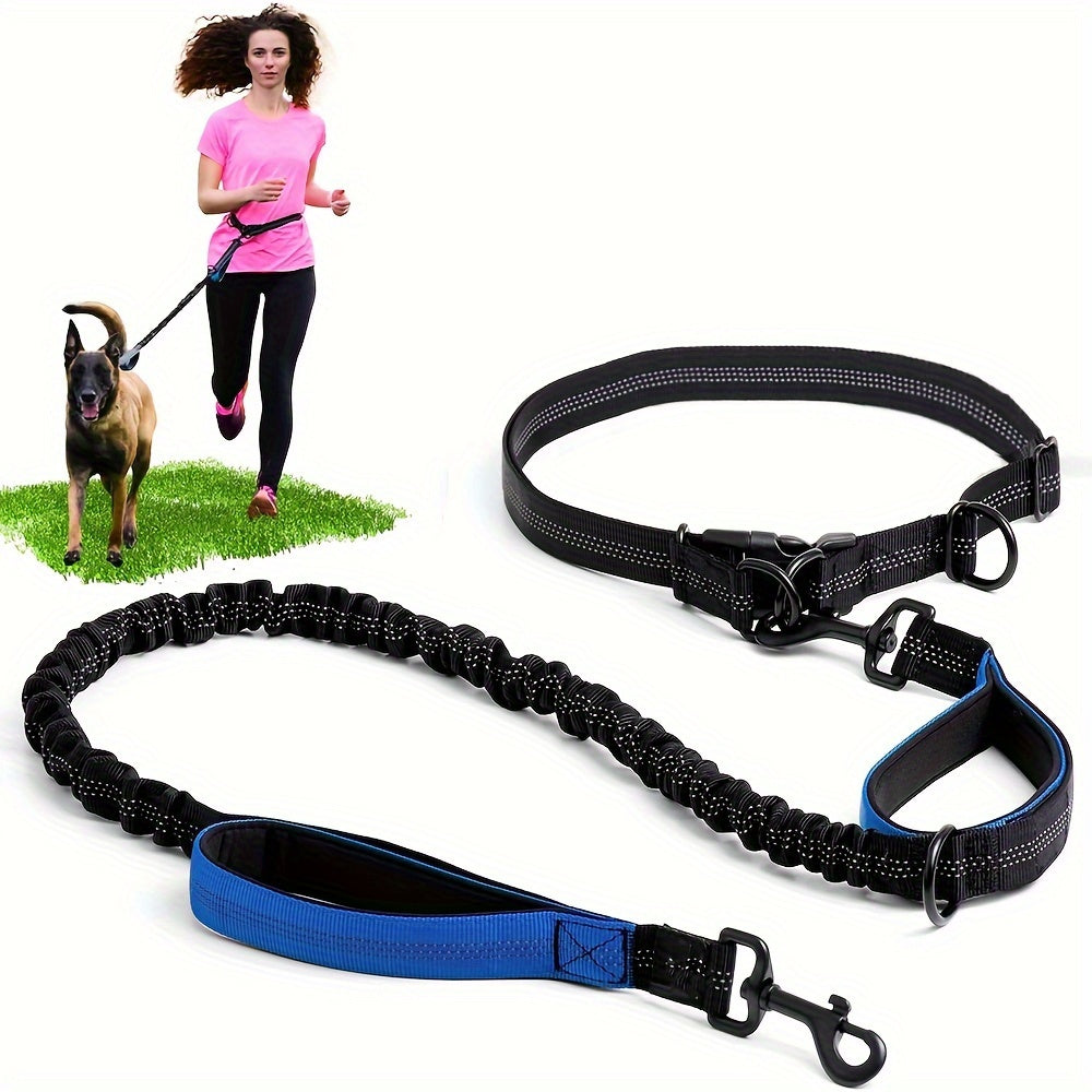 Laisse Elastique Mains Libres pour Chien