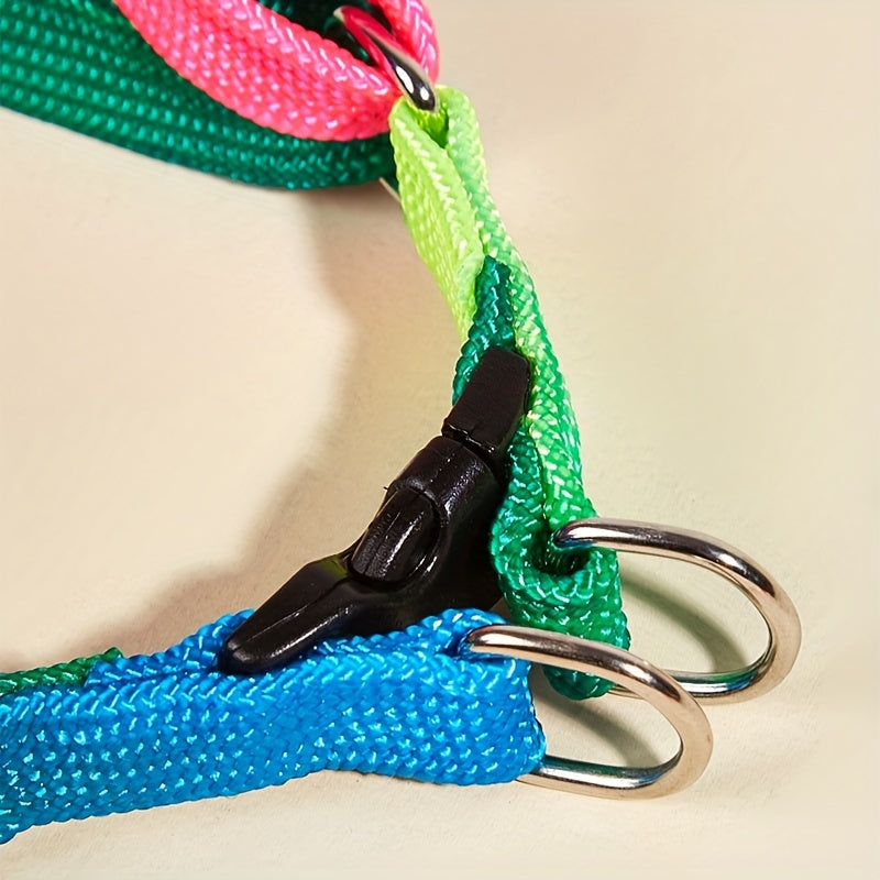Harnais et Laisse Colorés pour Chat – Ajustable