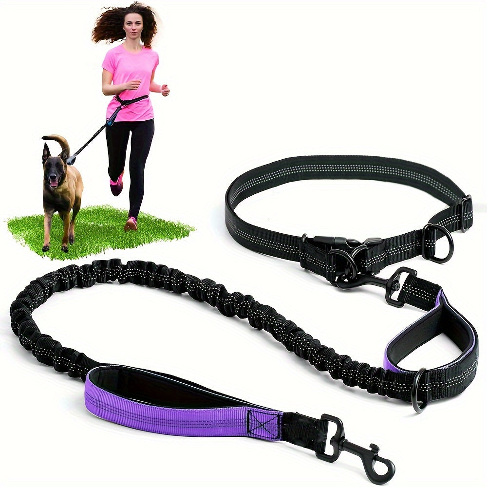 Laisse Elastique Mains Libres pour Chien