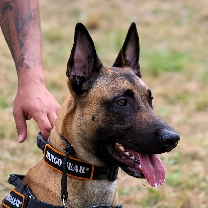 Collier Étrangleur en Corde tressée ajustable pour Chien