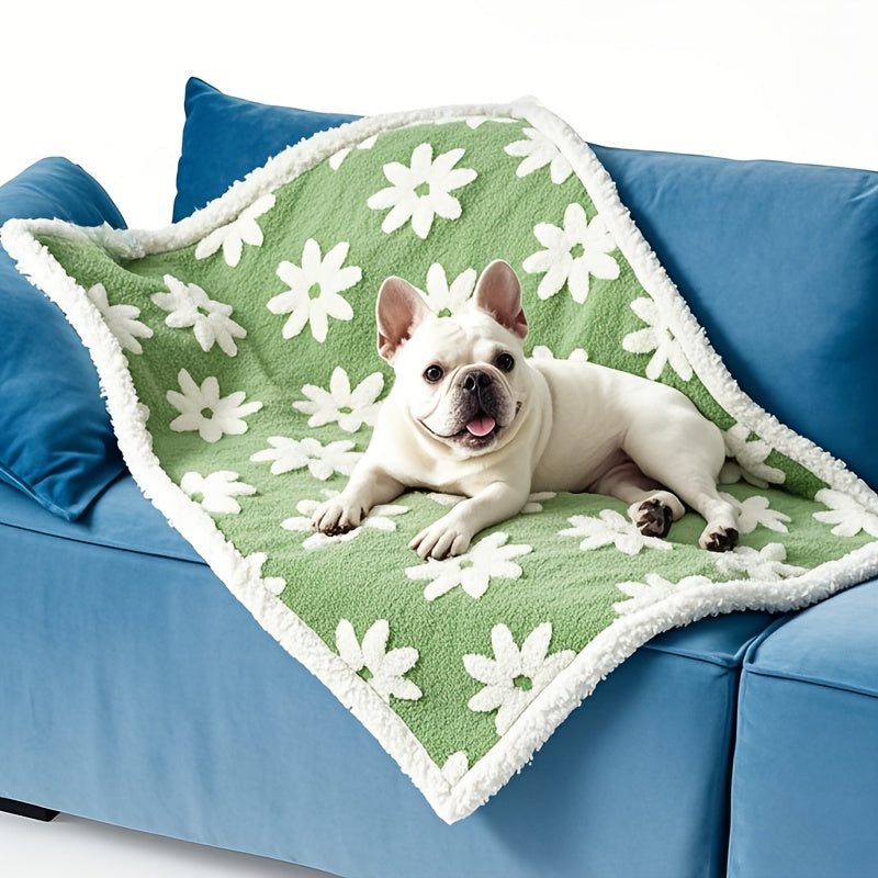 Couverture Moelleuse à Motif pour Chiens