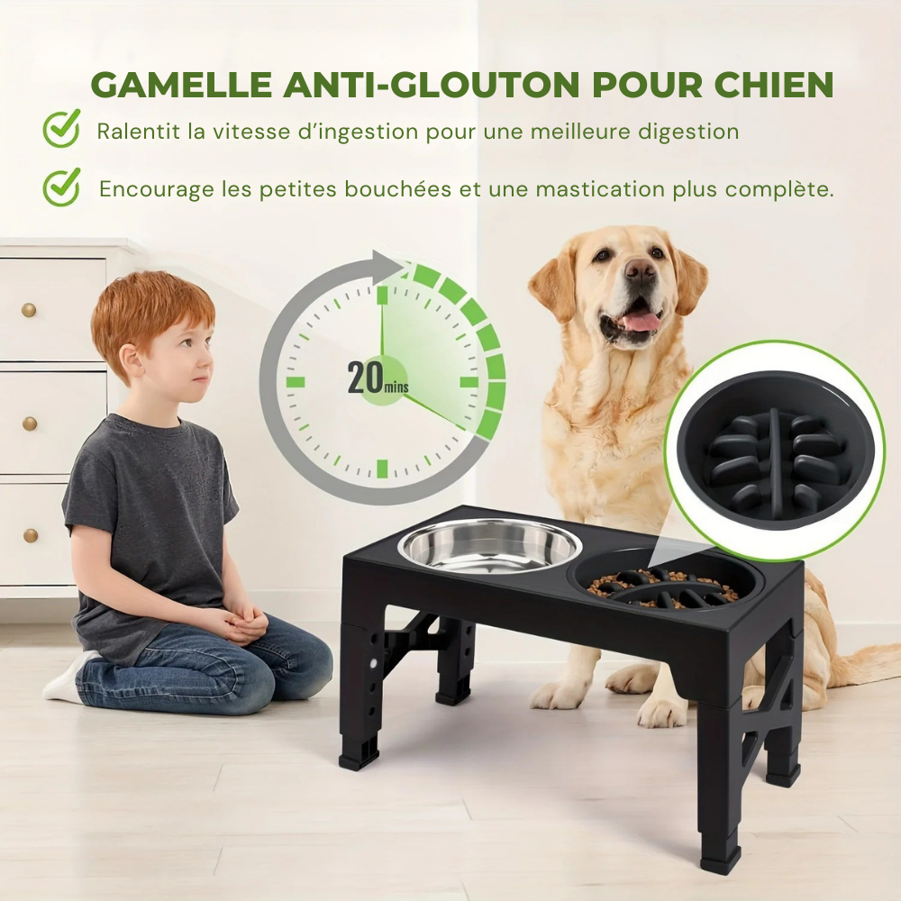 Gamelle double surélevée ajustable avec bol anti-glouton pour Chien