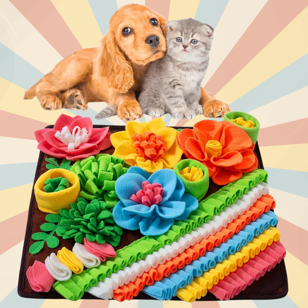 Tapis de Fouille Carré Multicolore – Jouet Éducatif Lavable pour Chiens