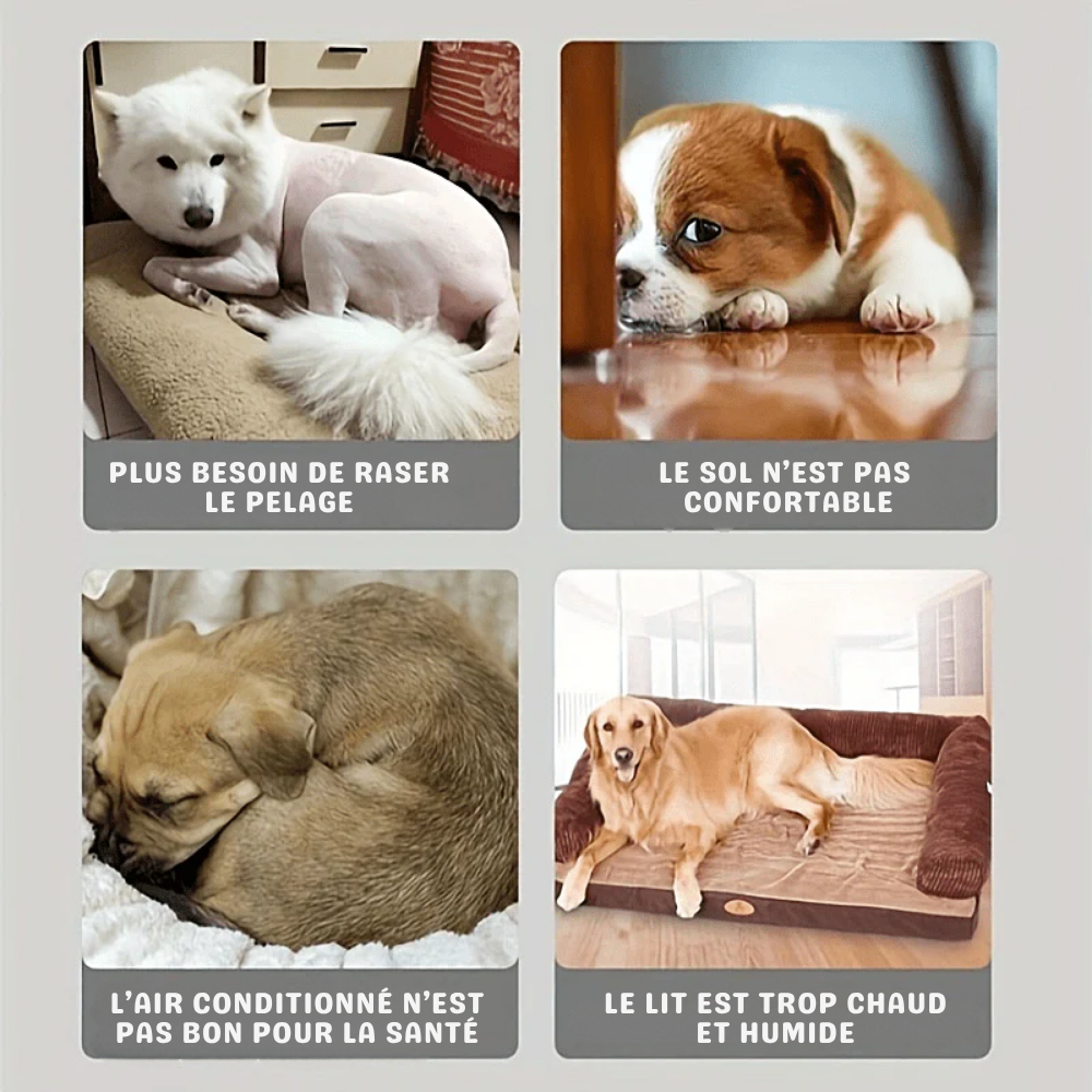 Tapis Rafraîchissant – Matelas en Gel Auto-Refroidissant pour Chien