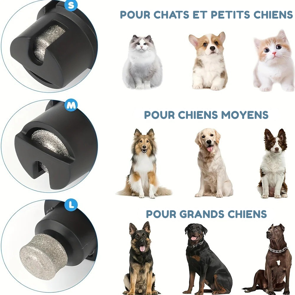 Limeur Électrique Silencieux pour Griffes avec LED