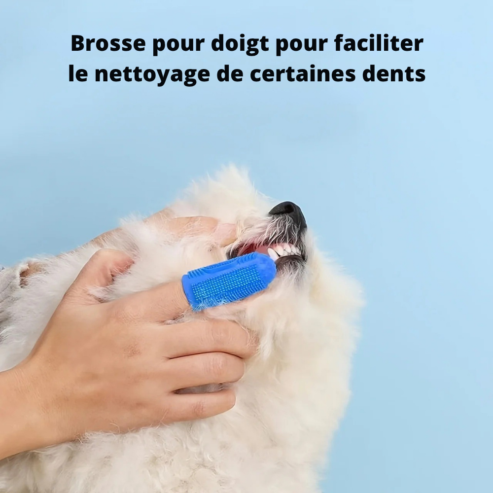 Kit de Soins Dentaires Sloppup pour Animaux