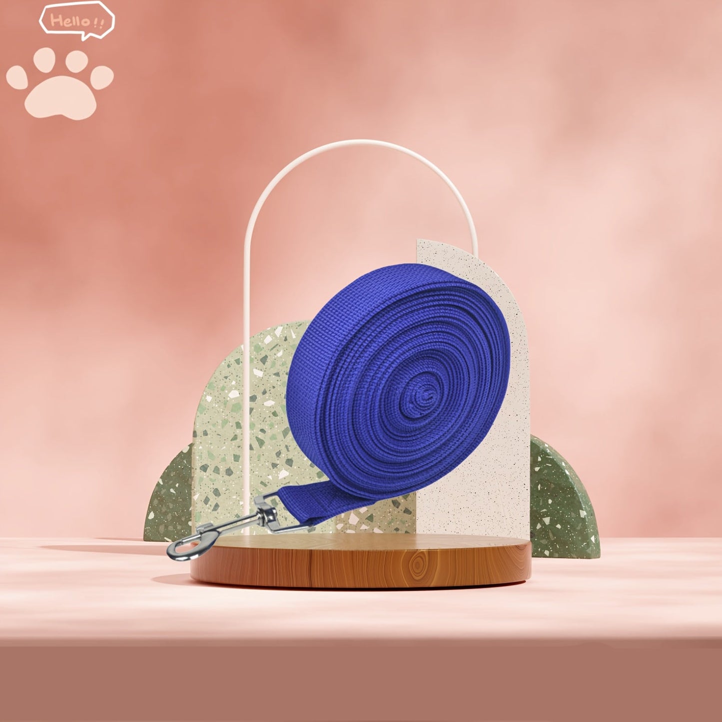 Longe Plate Multicolore – 5M et 10M pour Chien