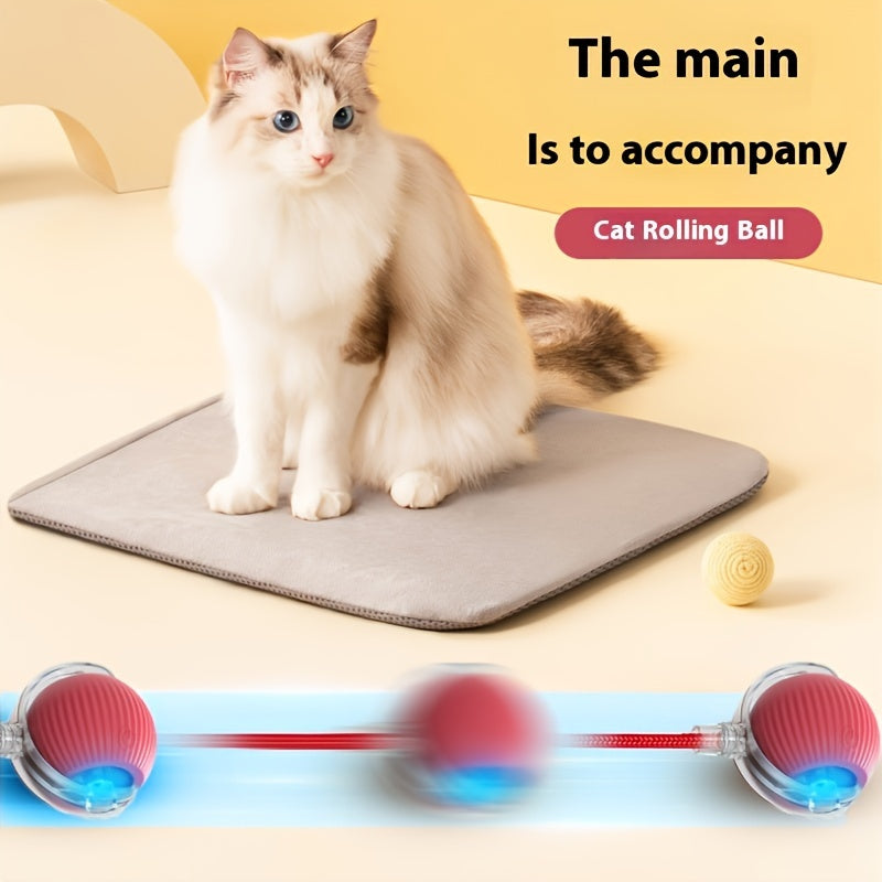 Balle Interactive Électrique pour Chat avec Corde et Modes Lumineux