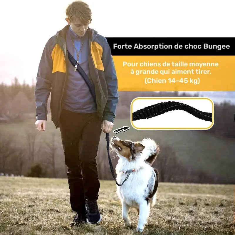 Laisse Mains Libres avec Boucle pour Voiture pour Chien