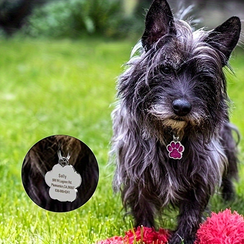Médaille Patte colorée pour collier de Chien