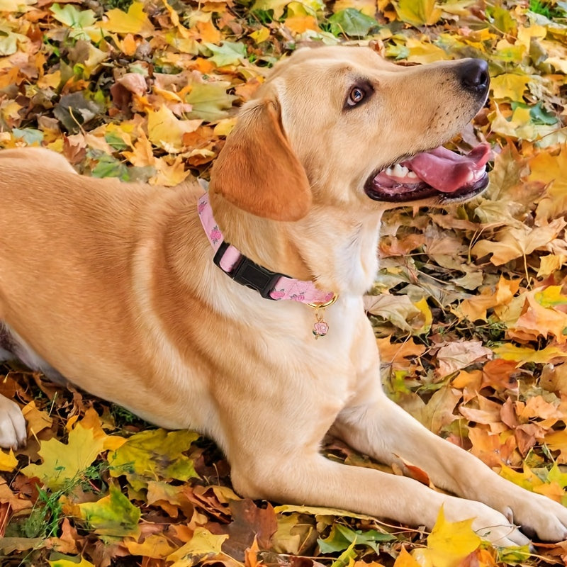 Collier à Motif avec Pendentif pour Chien