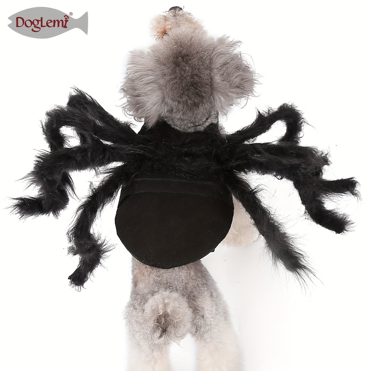 Costume Araignée d’Halloween pour Chats et Petits Chiens