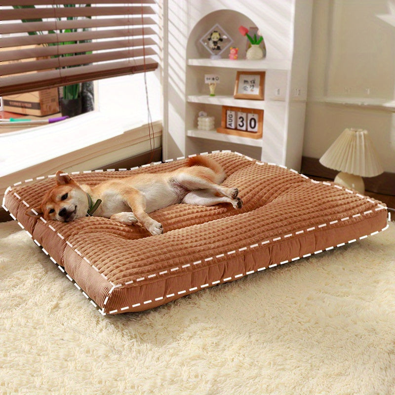 Extra Small to Large Dogs, No Assembly Required