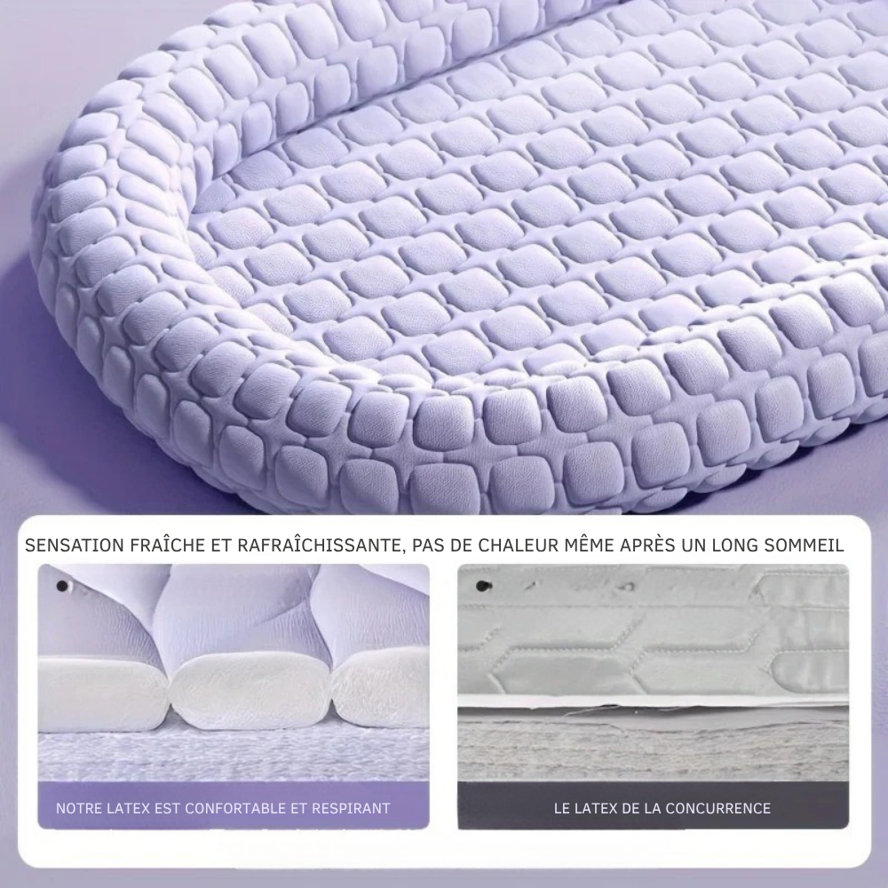 Lit rafraîchissant en latex pour Chien, design alvéolé