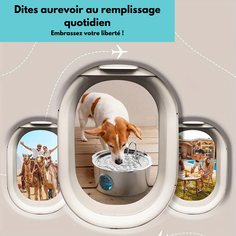 Fontaine inox grande capacité 7L pour Chien