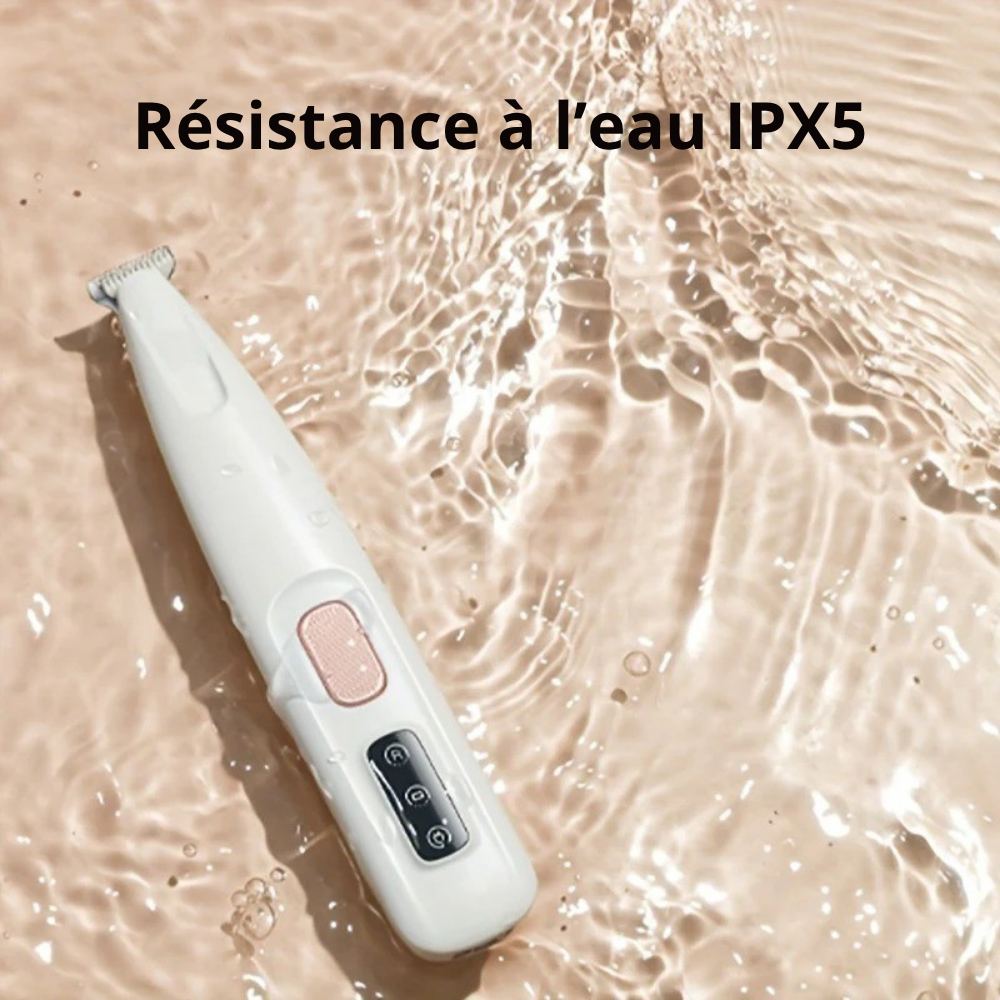 Tondeuse Électrique Compacte pour Toilettage Animalier