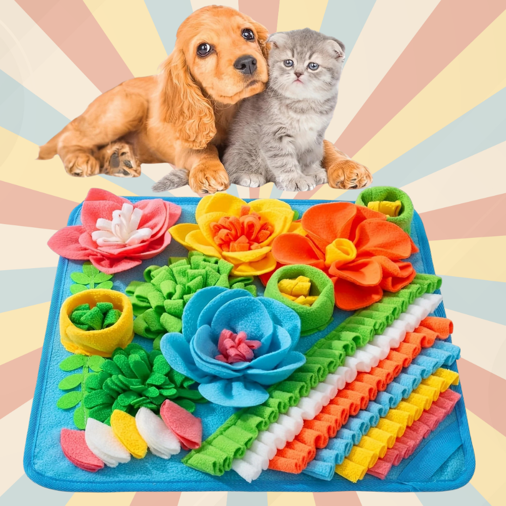 Tapis de Fouille Carré Multicolore – Jouet Éducatif Lavable pour Chiens