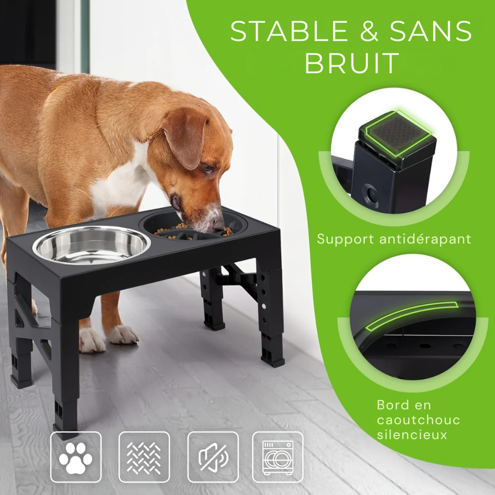 Gamelle double surélevée ajustable avec bol anti-glouton pour Chien