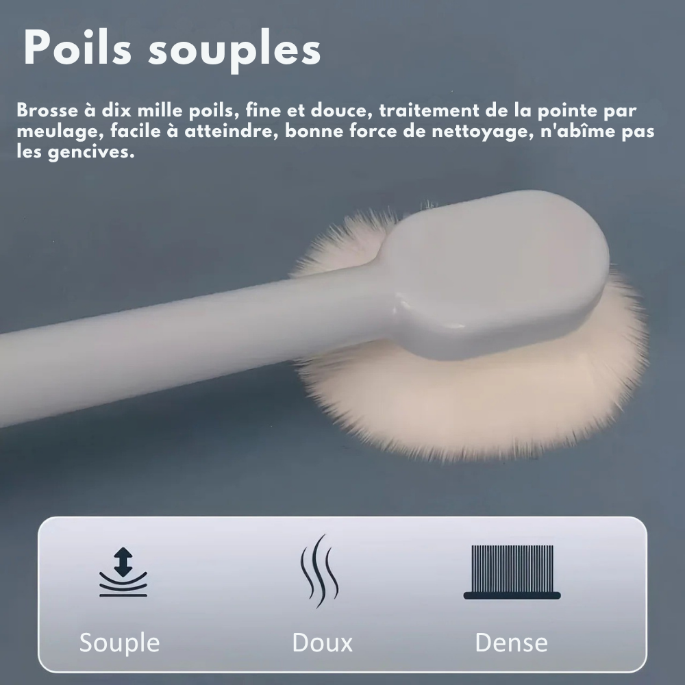Kit Brosse à Dents Ultra-Douce & Dentifrice Bœuf pour Chiens