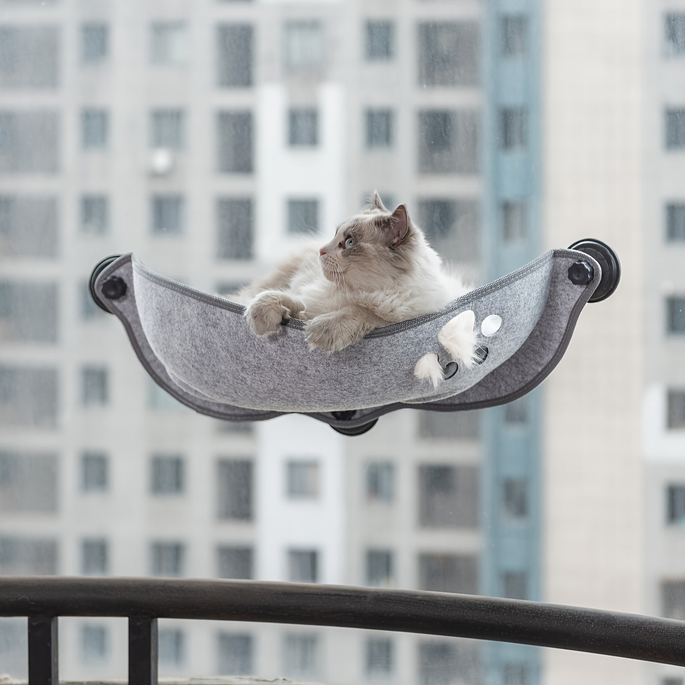 Hamac de Fenêtre en Forme de Croissant pour Chat