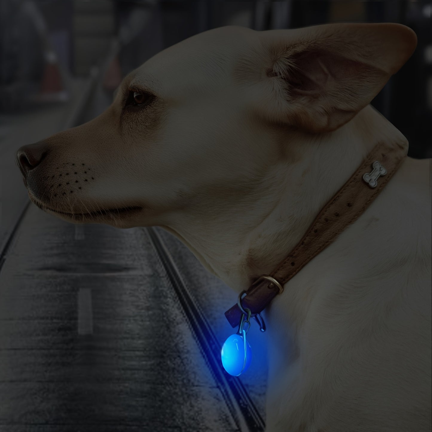 Pendentif lumineux rond pour collier de Chien ou Chat