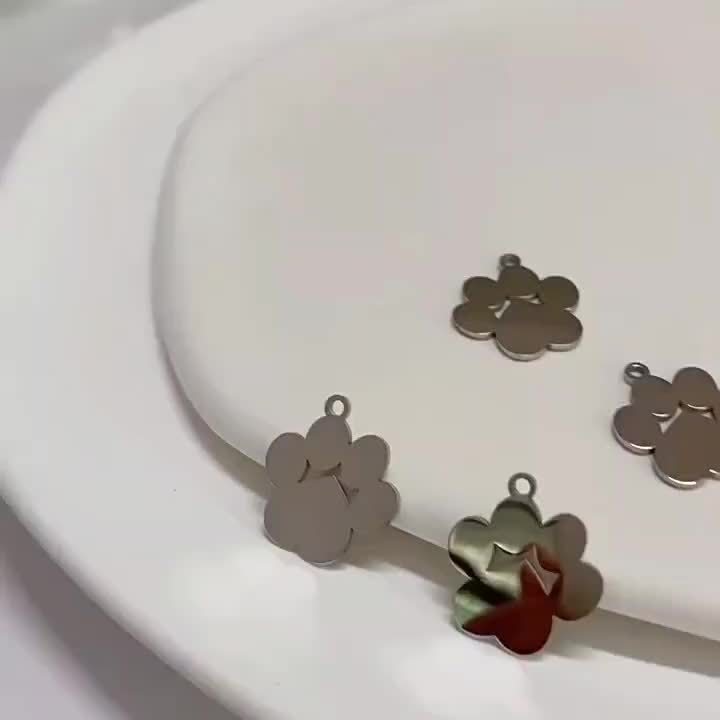 Médailles gravables en acier pour collier de Chien ou Chat