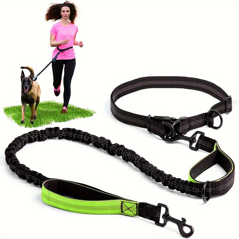 Laisse Elastique Mains Libres pour Chien