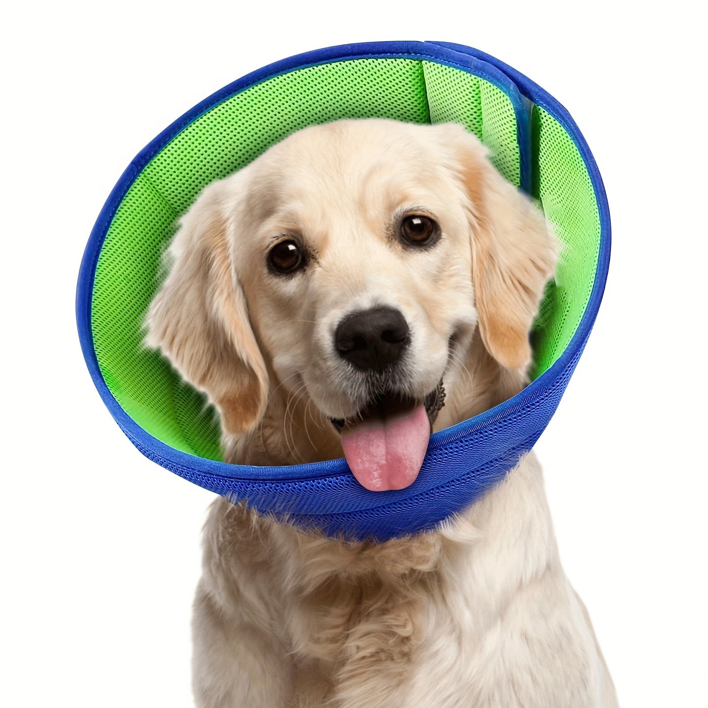 Collerette de Protection Ajustable pour Chien