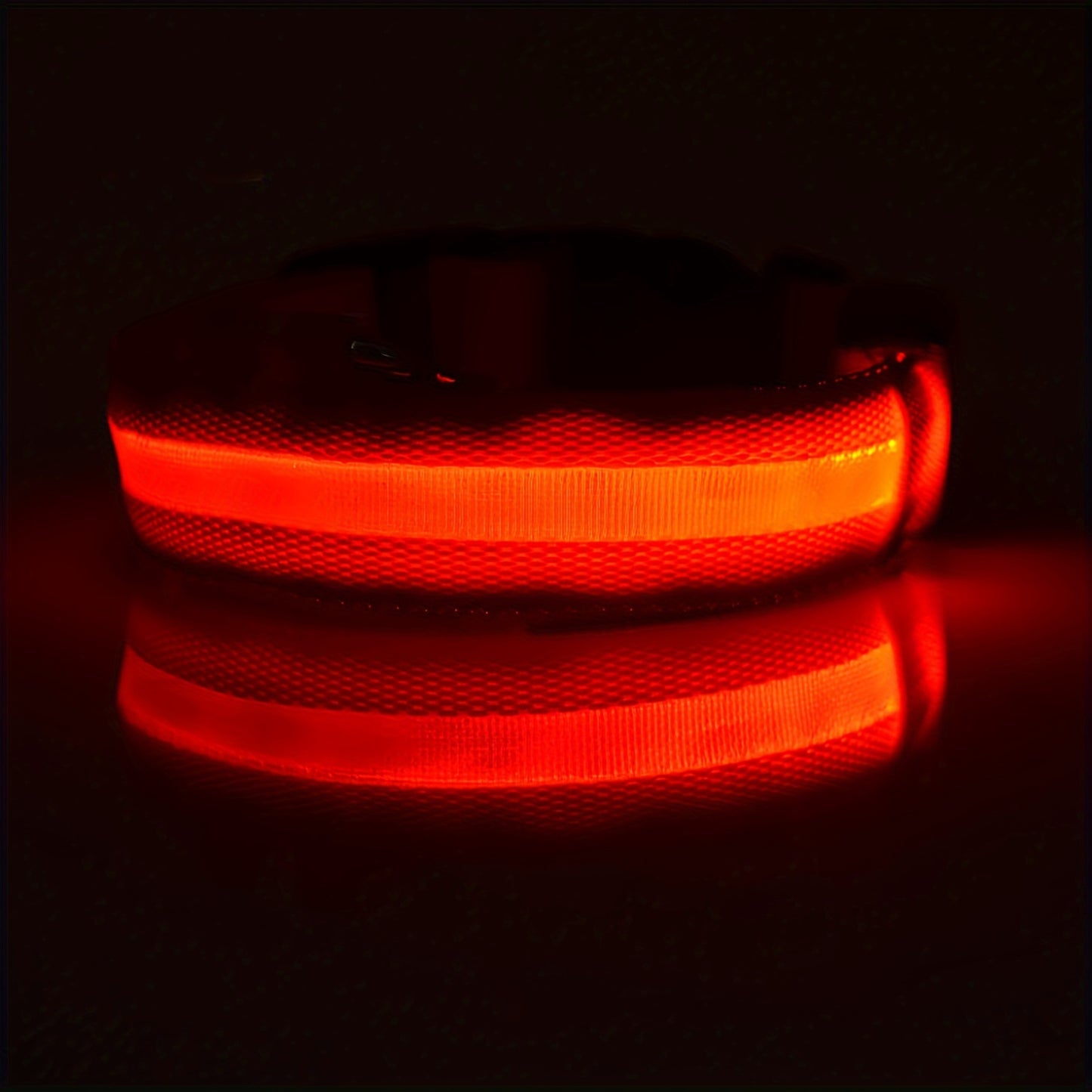 Collier lumineux ajustable pour Chien - sécurité de nuit