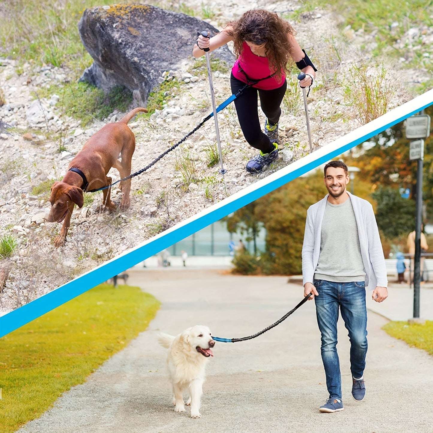 Laisse Mains Libres Course ou Randonnée pour Chien