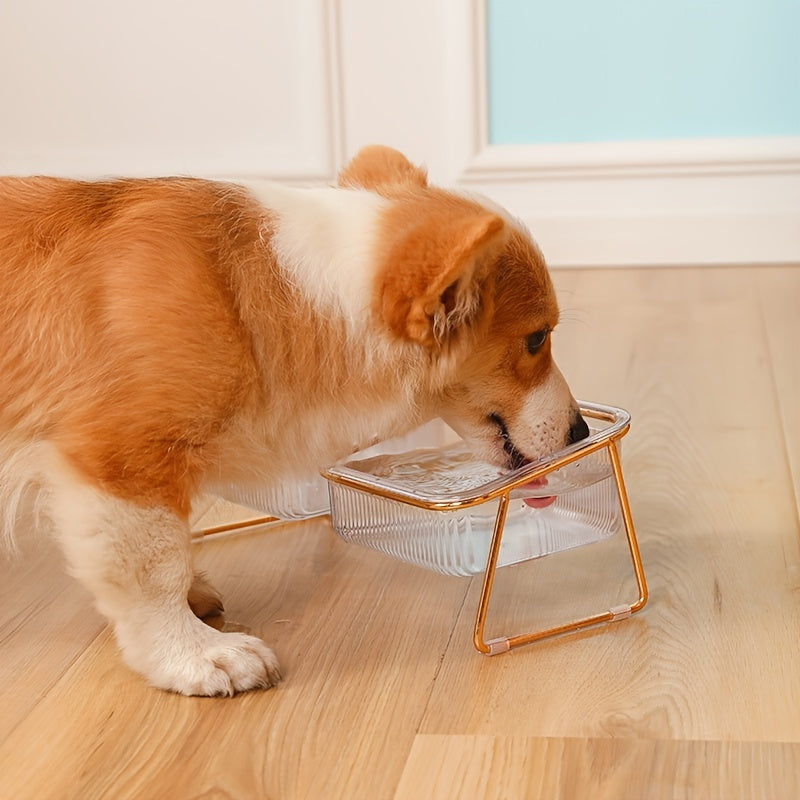 Gamelle Double Surélevée Transparente pour Chats – 15° Inclinée