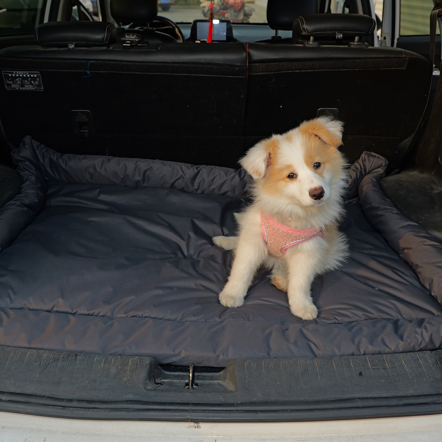 Coussin Extérieur Pliable pour Chien – Antidérapant et Lavable