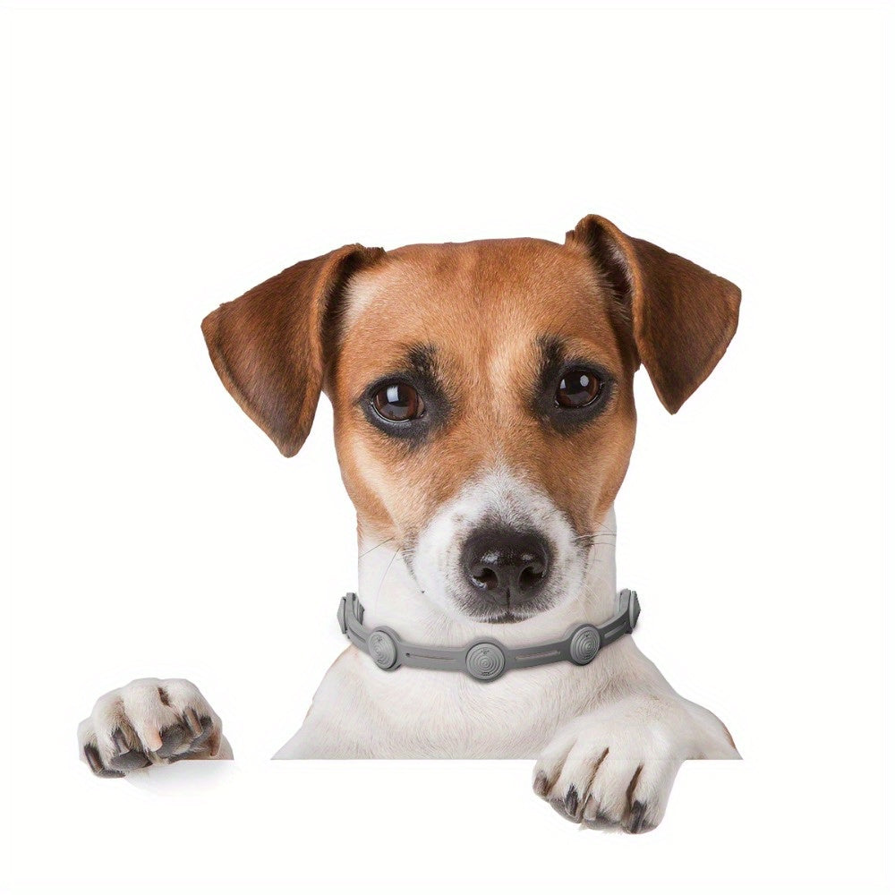 Collier Diffuseur d’Huiles Essentielles pour Chiens et Chats