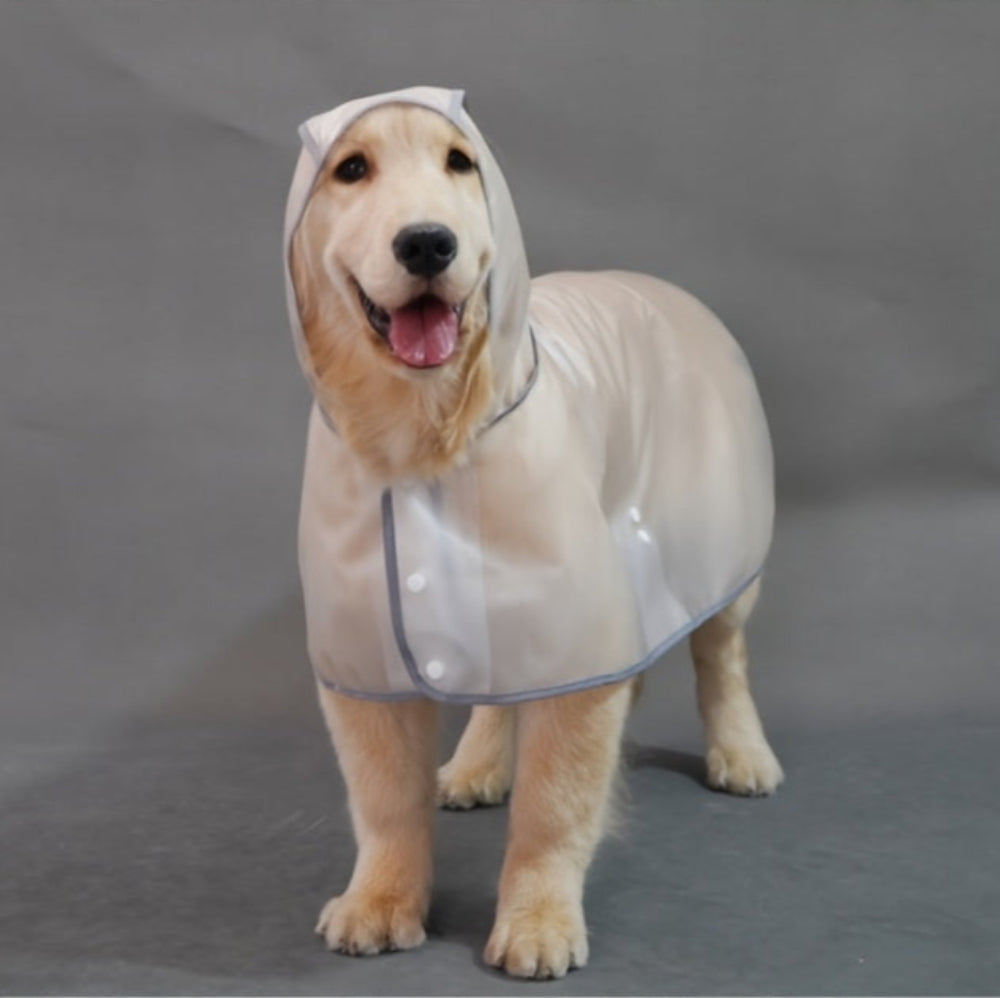 Imperméable Transparent à Capuche pour Chiens de Grande Taille
