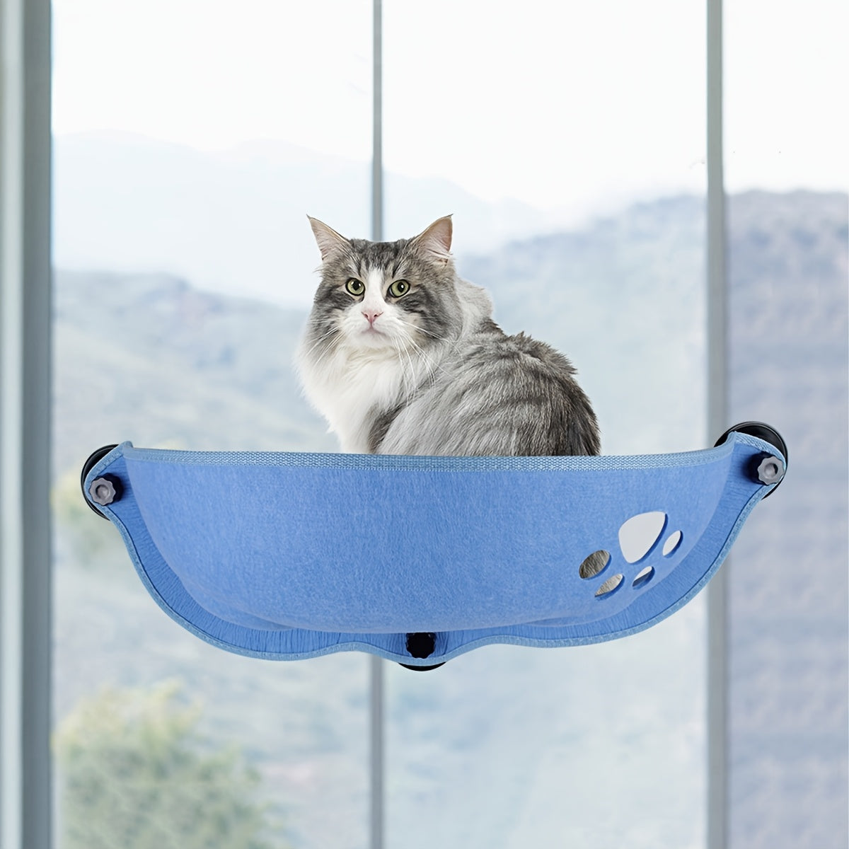 Hamac de Fenêtre en Forme de Croissant pour Chat
