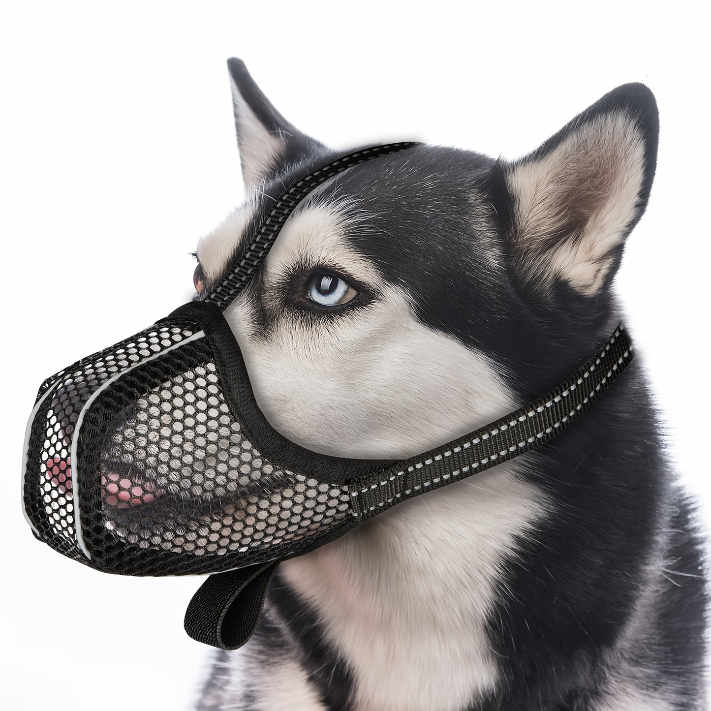 Muselière pour Chien en Maille Respirable