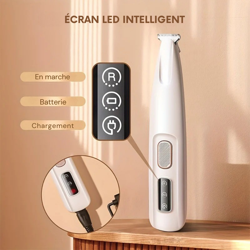 Tondeuse Électrique Compacte pour Toilettage Animalier