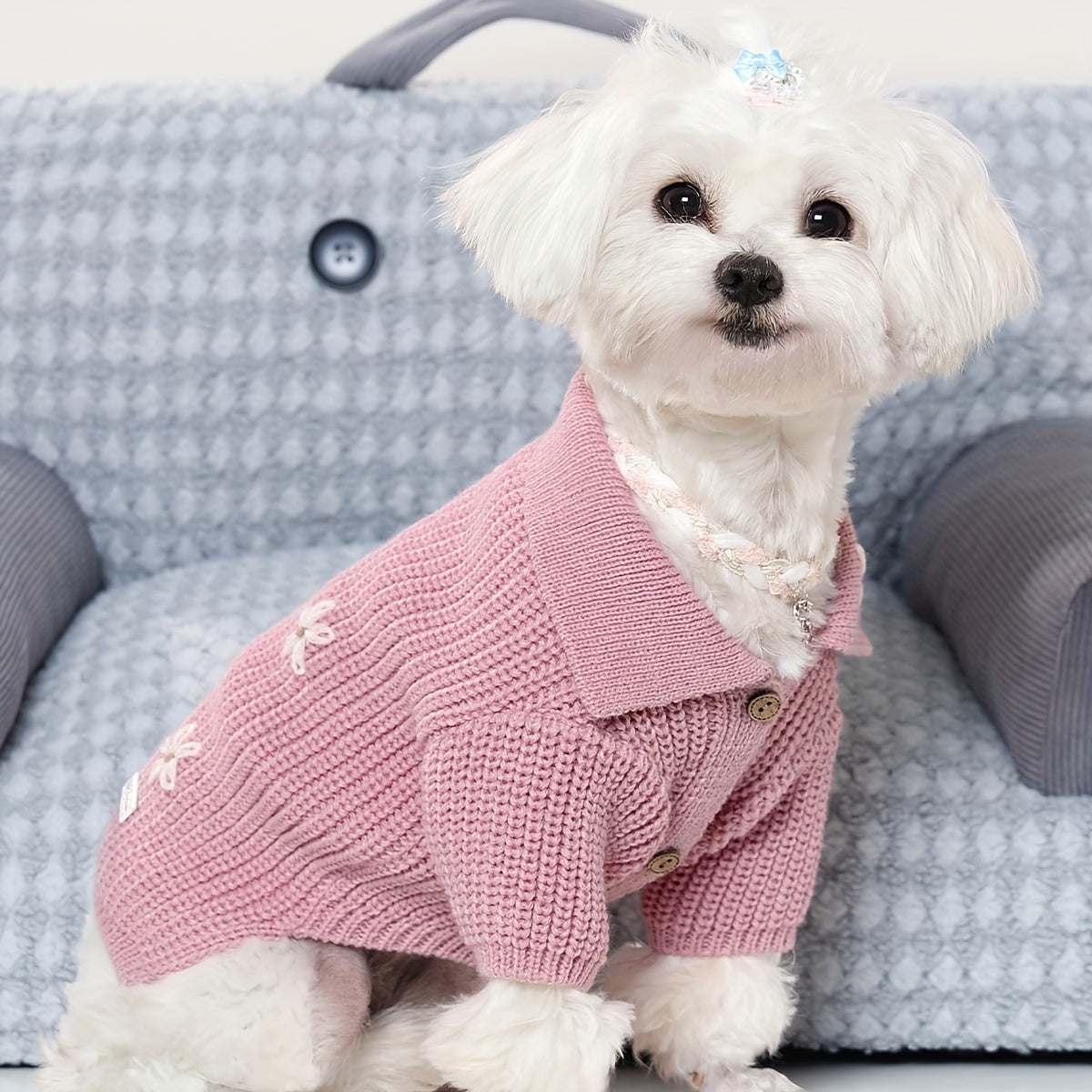 Pull Tricoté avec Boutons Fleur pour Chiens et Chats – Cardigan Rose ou Bleu à Col Replié