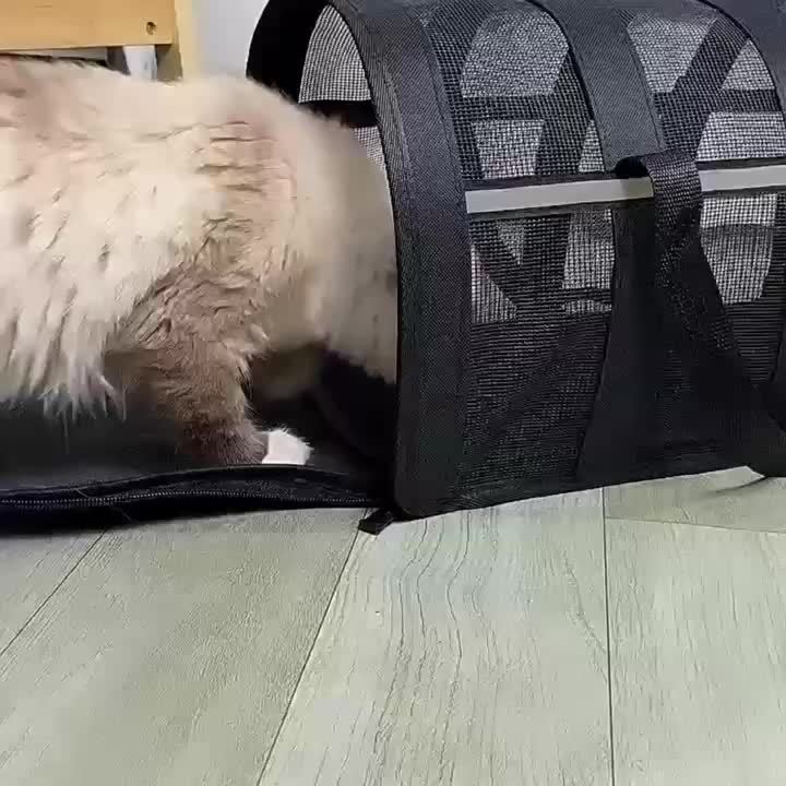 Sac de Transport Respirant en Nylon pour Animaux