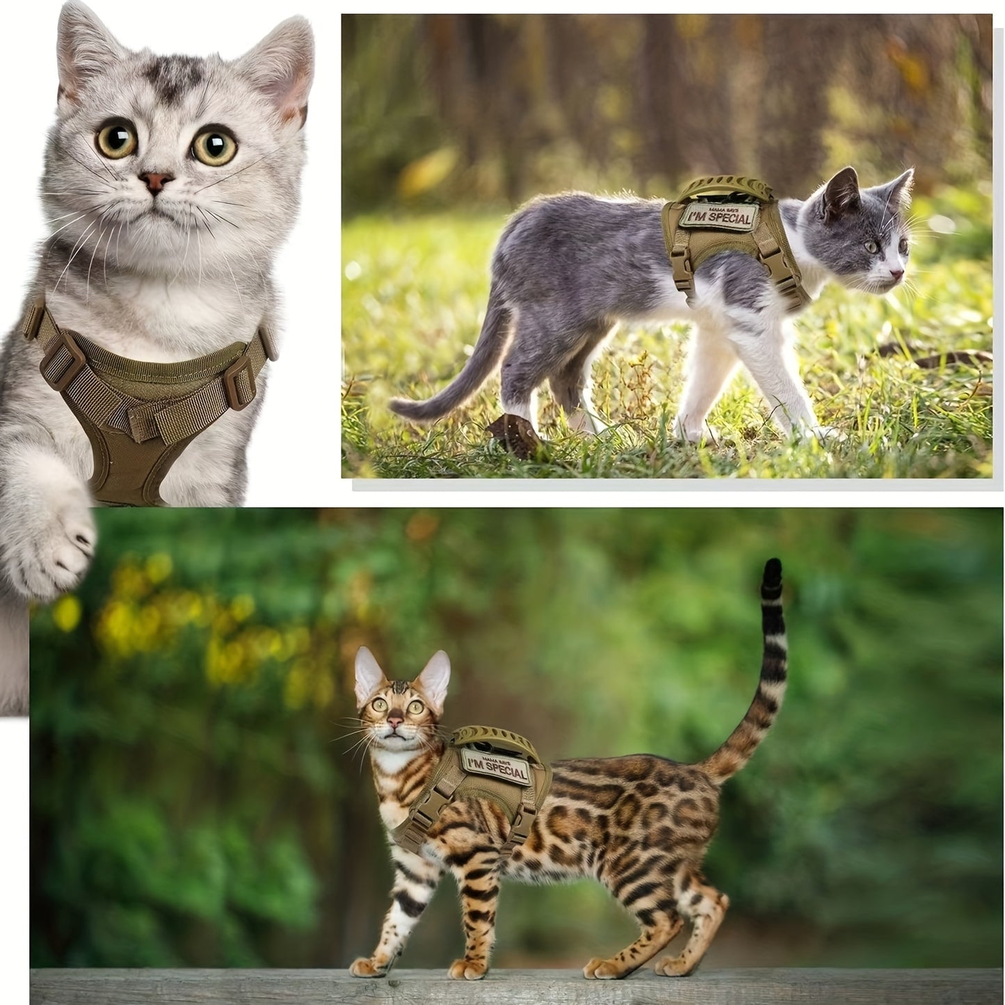 Harnais Tactique Réglable pour Chat avec Poignée de Contrôle