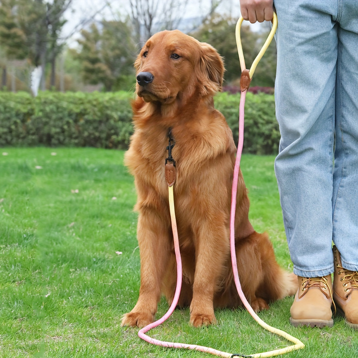 Laisse Bandoulière Mains Libres en Corde pour Chien