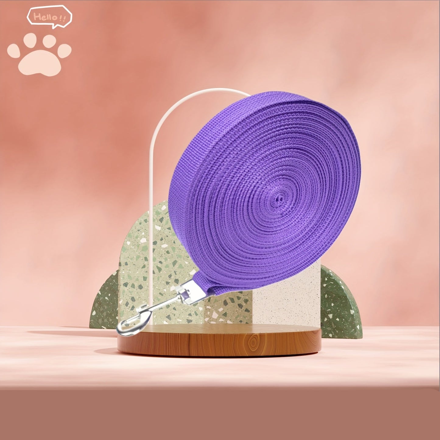 Longe Plate Multicolore – 5M et 10M pour Chien