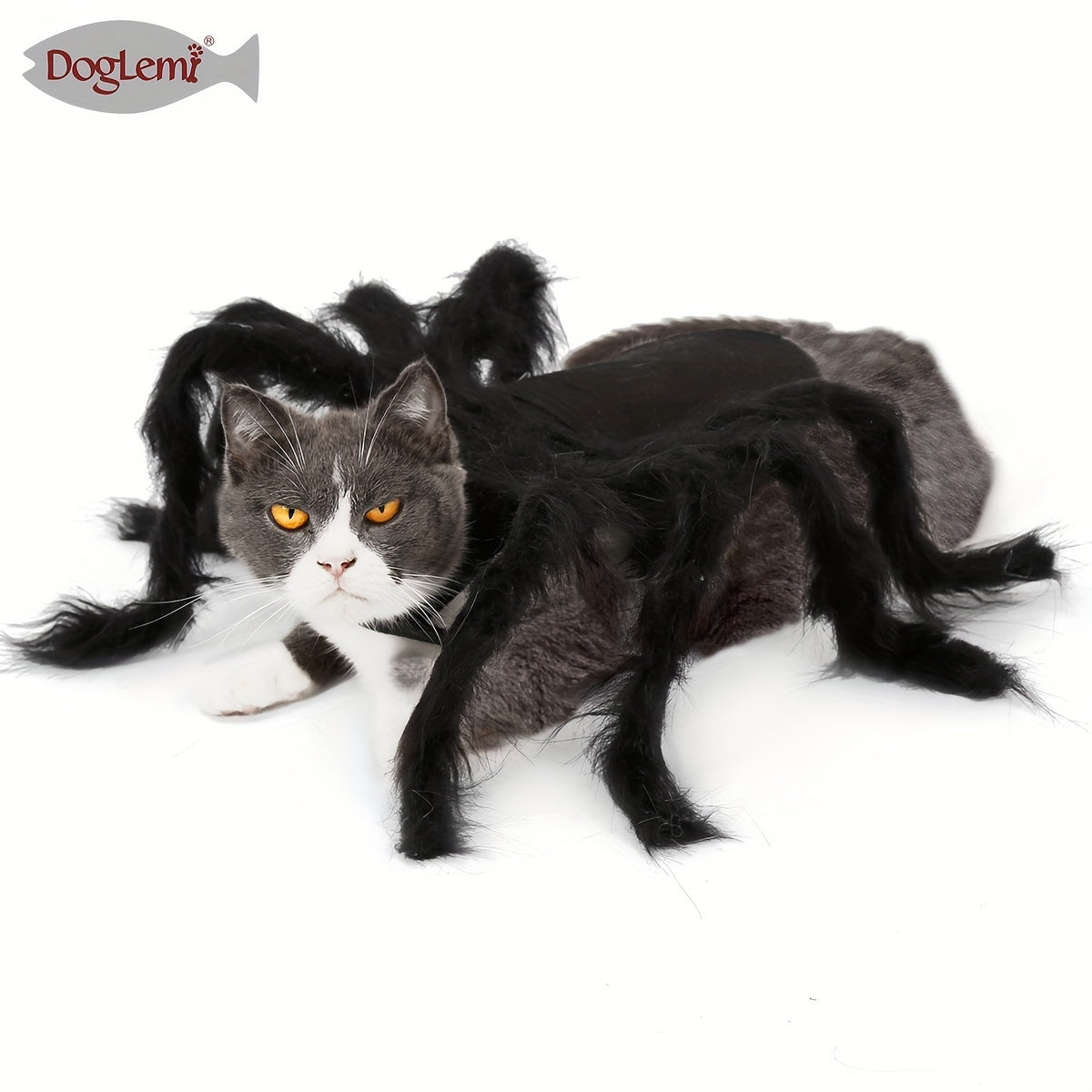 Costume Araignée d’Halloween pour Chats et Petits Chiens
