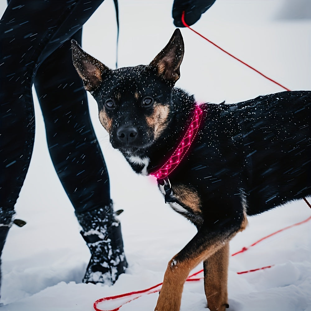 Collier lumineux LED brodé pour Chien