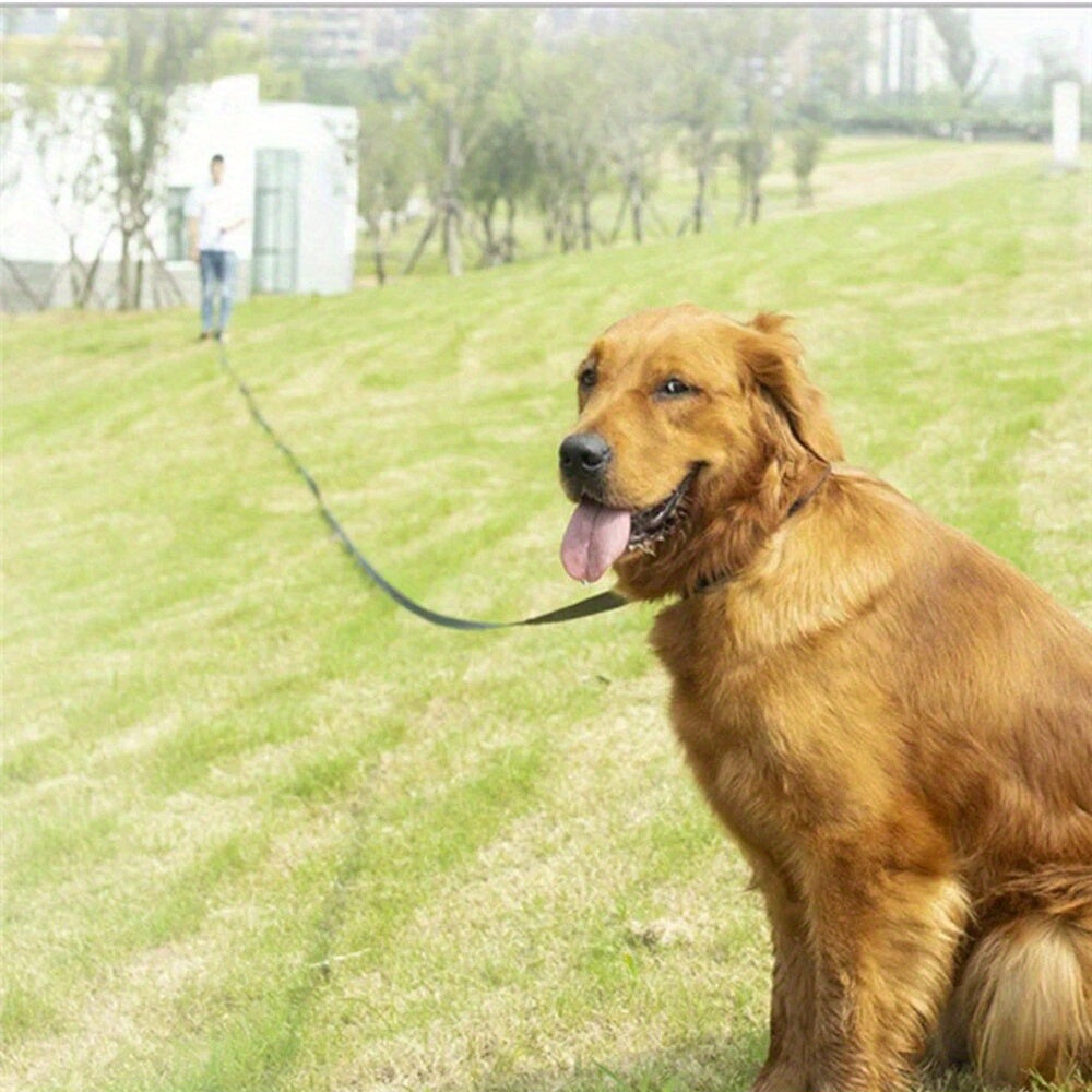 Longe Noire avec Poignée Mousse pour Chien – 1,5 m à 20 m