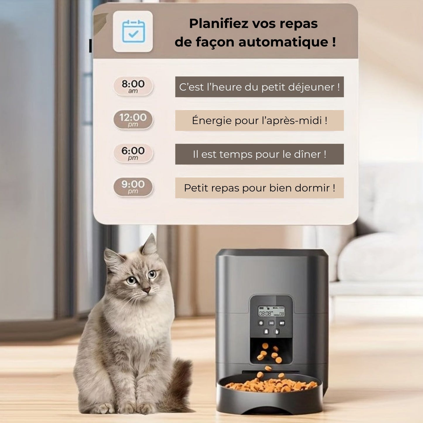 Distributeur 2L automatique programmable pour Chien et Chat